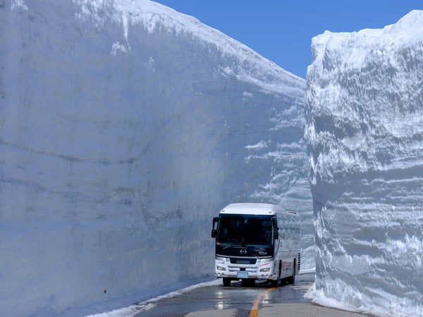 『「雪の大谷」ウォークと「高遠城址公園」コヒガン桜 立山黒部アルペンルート2日間/グランジャム栂池 宿泊』【グランテラス筑西・三和・古河 出発】1